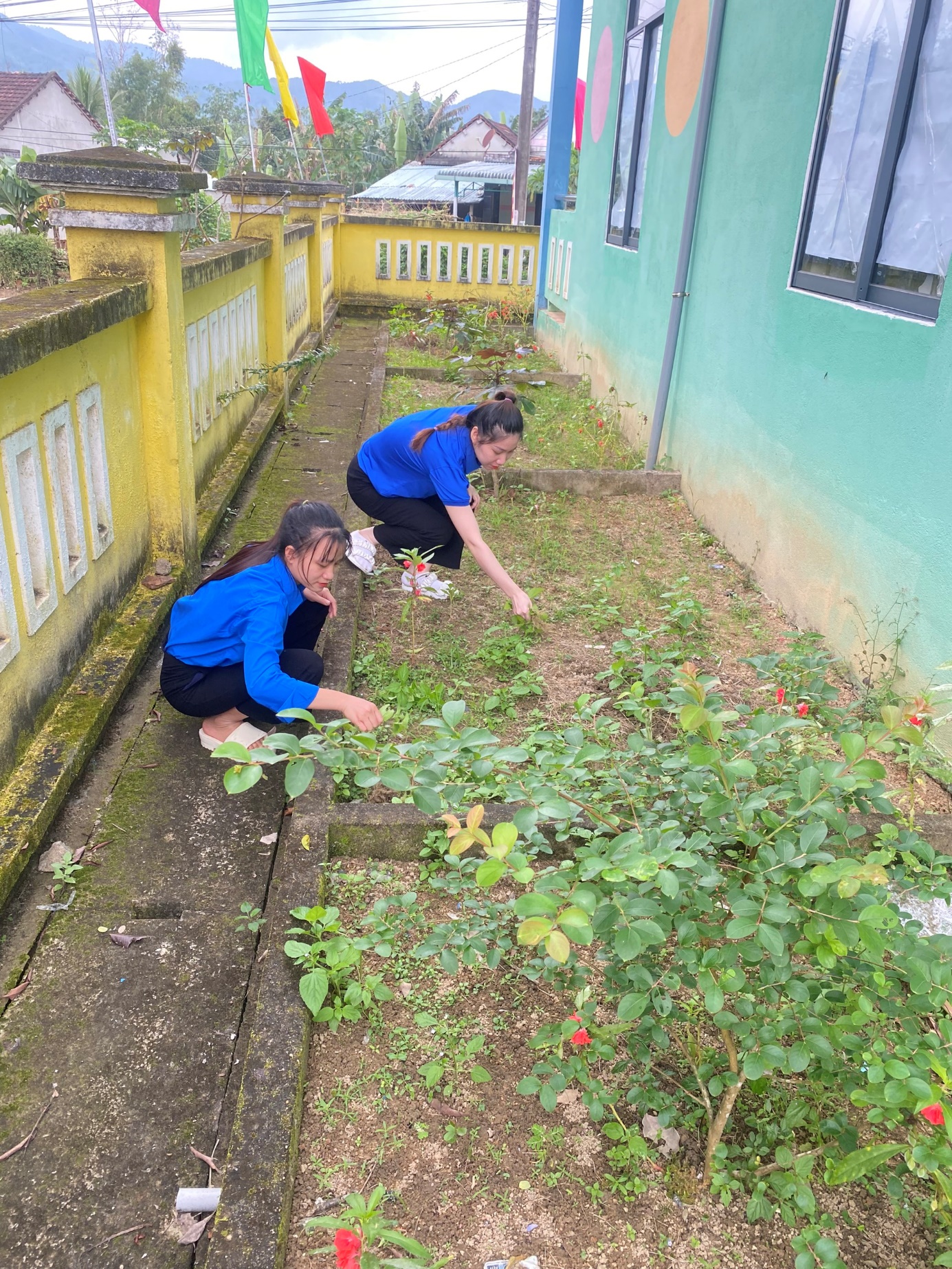 Two women in blue shirts picking plants in a garden Description automatically generated