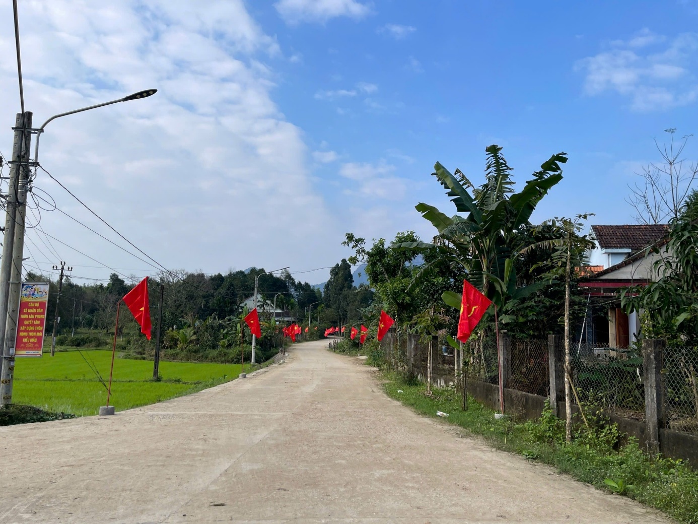A road with flags and grass Description automatically generated