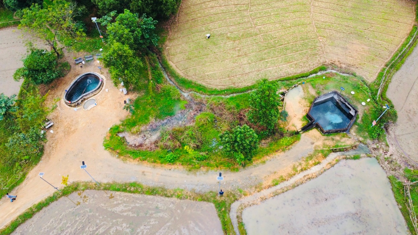 A aerial view of a pool and trees

Description automatically generated